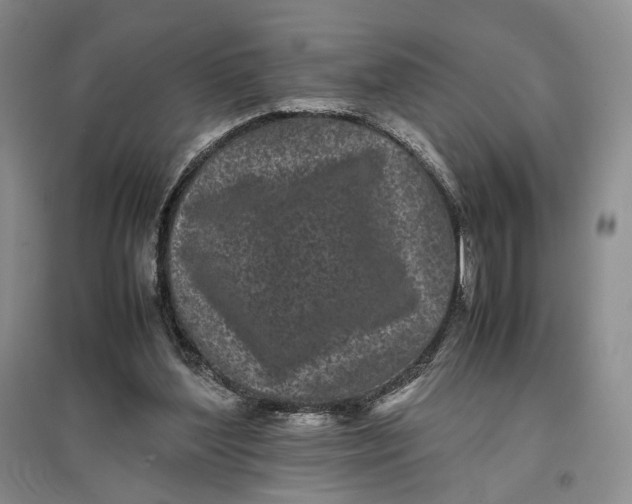 X0000096670204200802261500