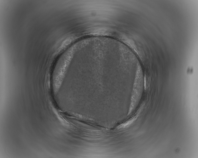 X0000096670205200802261500