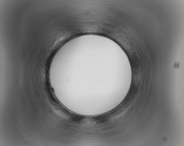 X0000096670207200802261500