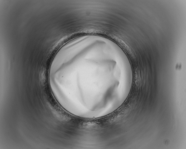 X0000096670208200802261500