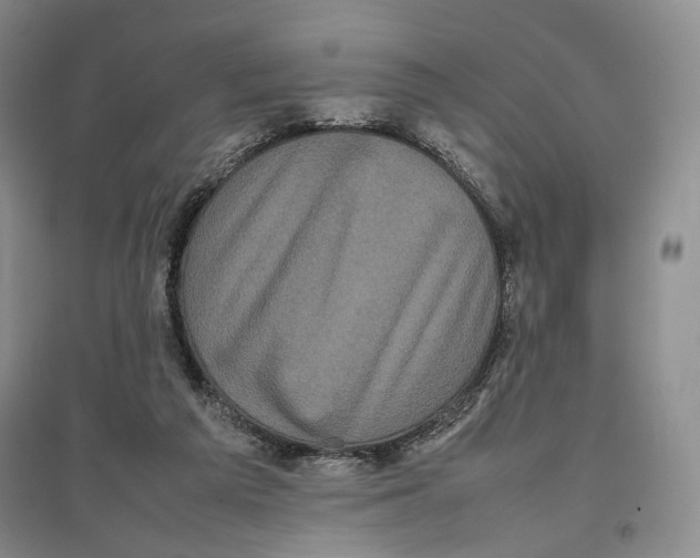 X0000096670209200802261500