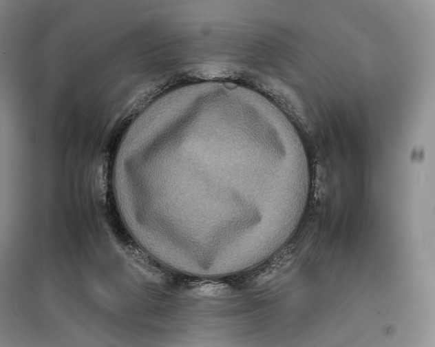 X0000096670210200802261500