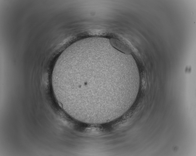 X0000096670211200802261500