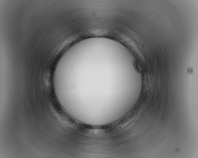 X0000096670212200802261500