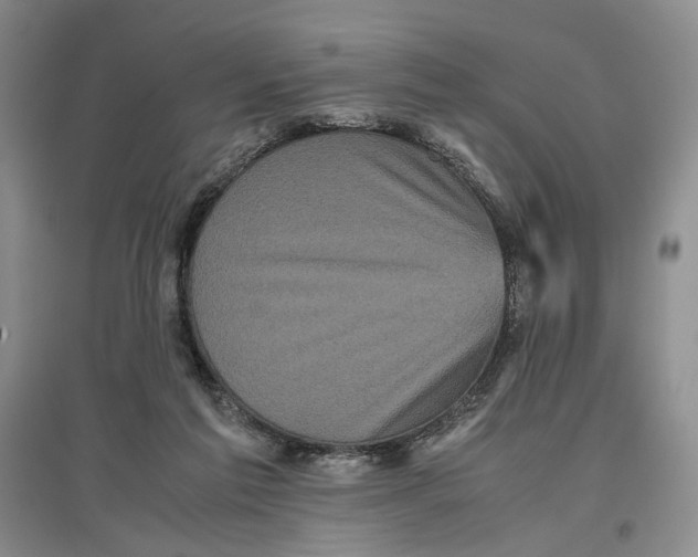 X0000096670213200802261500