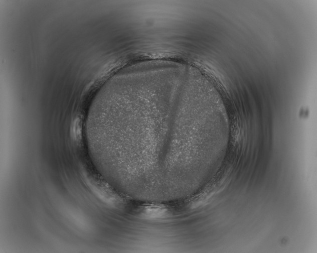 X0000096670214200802261500