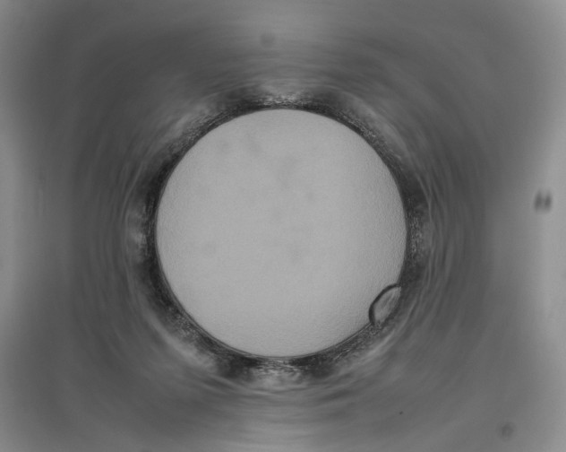X0000096670215200802261500