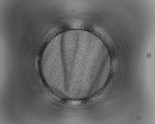X0000096670217200802261500