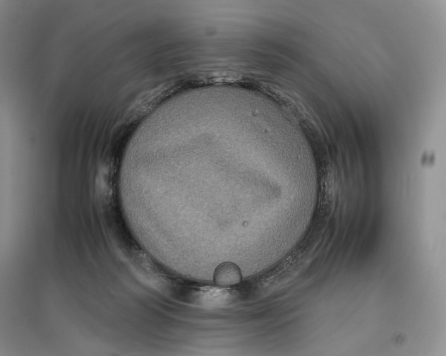 X0000096670218200802261500