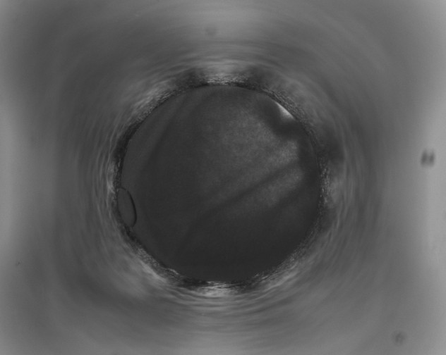 X0000096670219200802261500