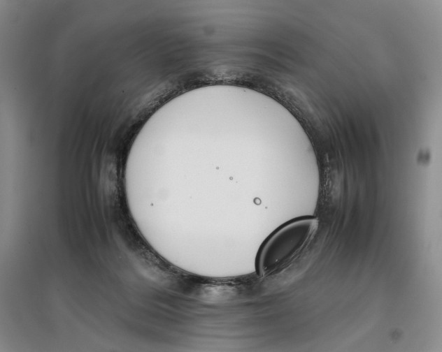 X0000096670220200802261500