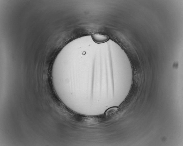 X0000096670221200802261500