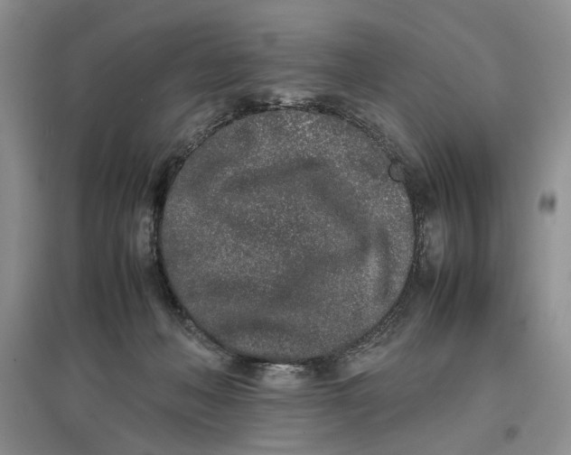 X0000096670222200802261500