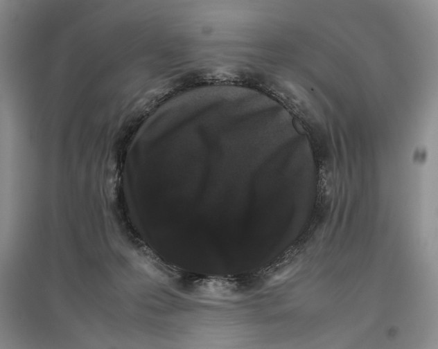 X0000096670223200802261500