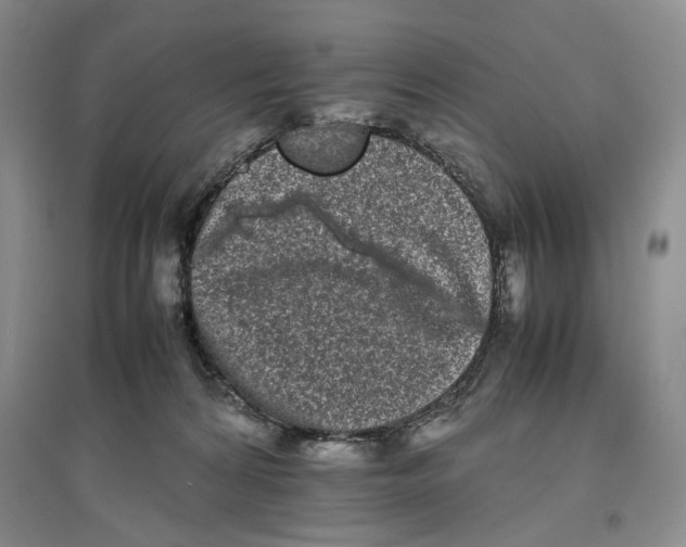 X0000096670224200802261500