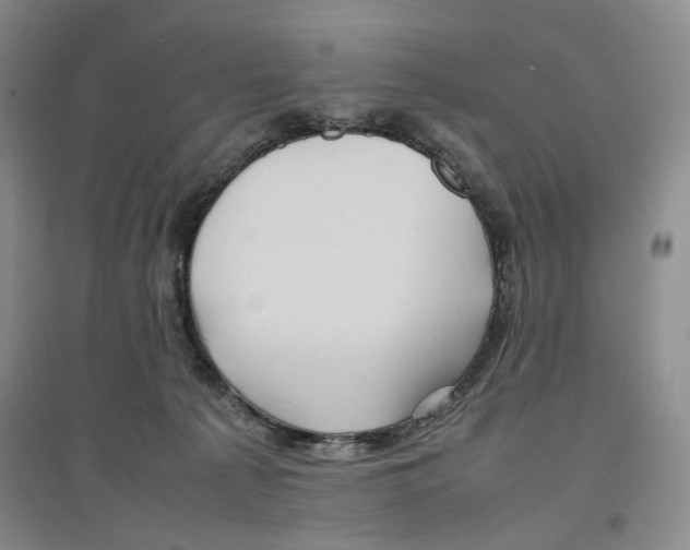 X0000096670225200802261500