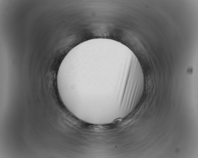 X0000096670229200802261500