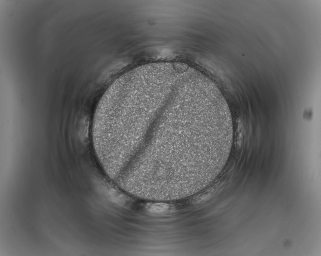 X0000096670230200802261500
