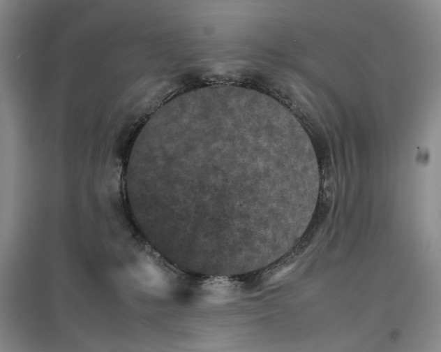 X0000096670231200802261500