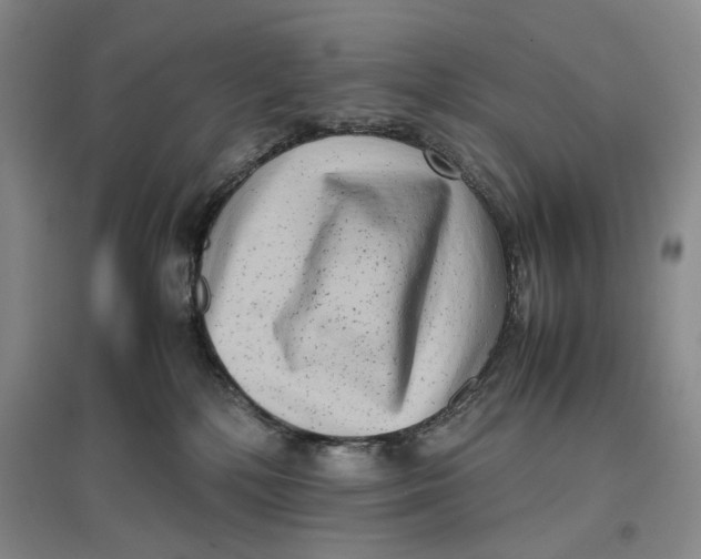 X0000096670232200802261500