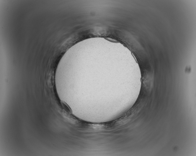 X0000096670233200802261500