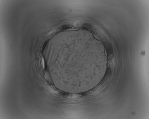 X0000096670235200802261500
