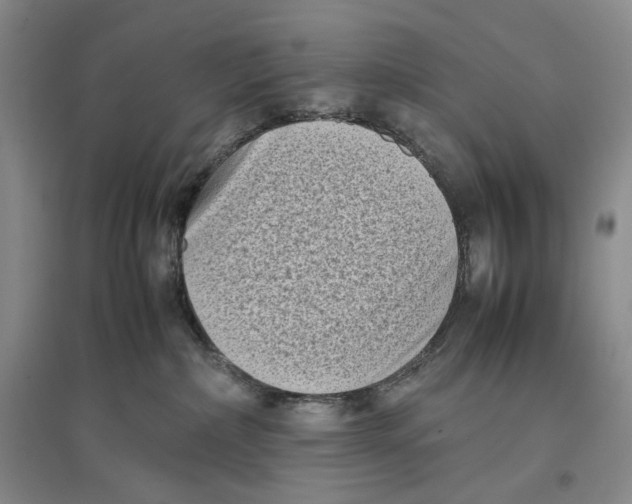 X0000096670236200802261500
