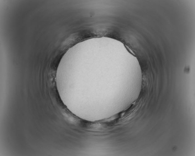 X0000096670237200802261500