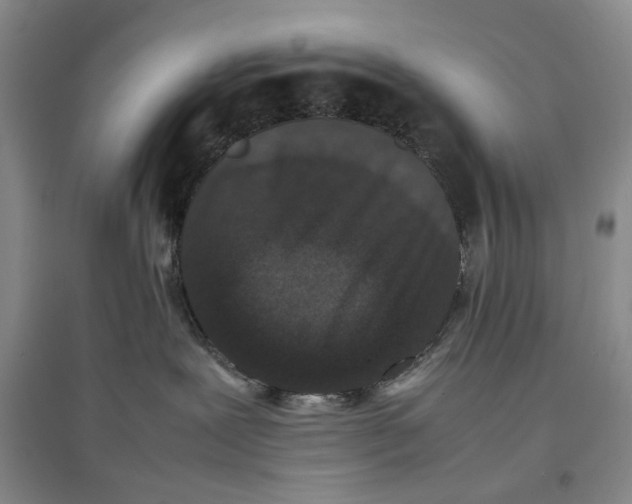 X0000096670239200802261500