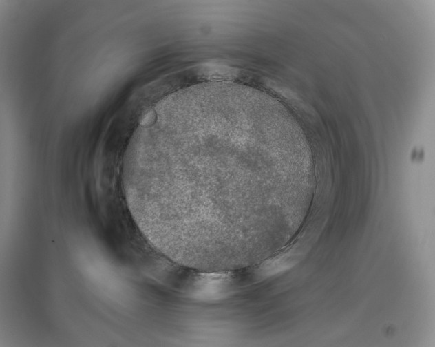 X0000096670240200802261500