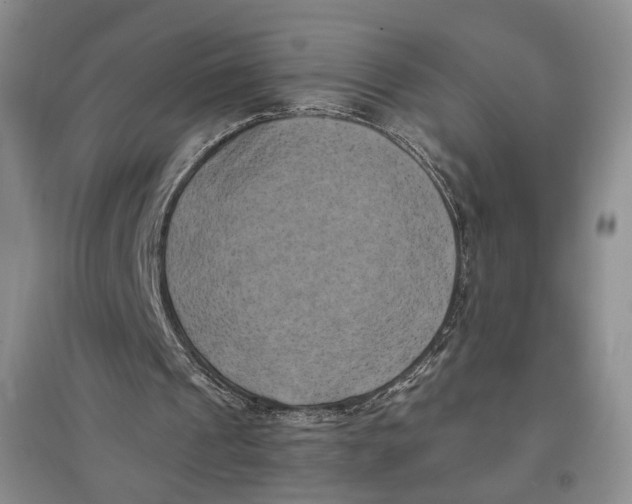X0000096670241200802261459