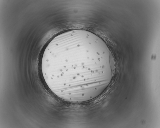 X0000096670242200802261459