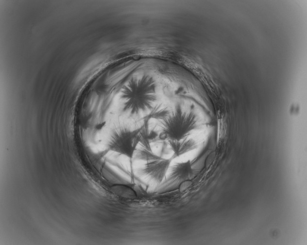 X0000096670243200802261459