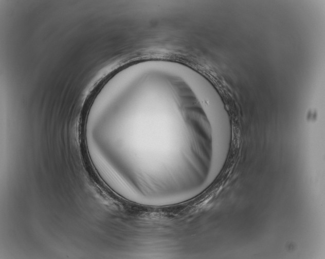 X0000096670244200802261459