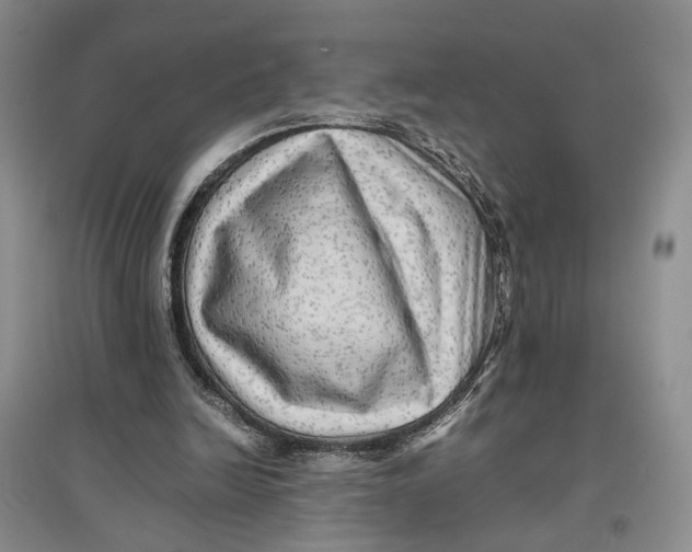 X0000096670246200802261459