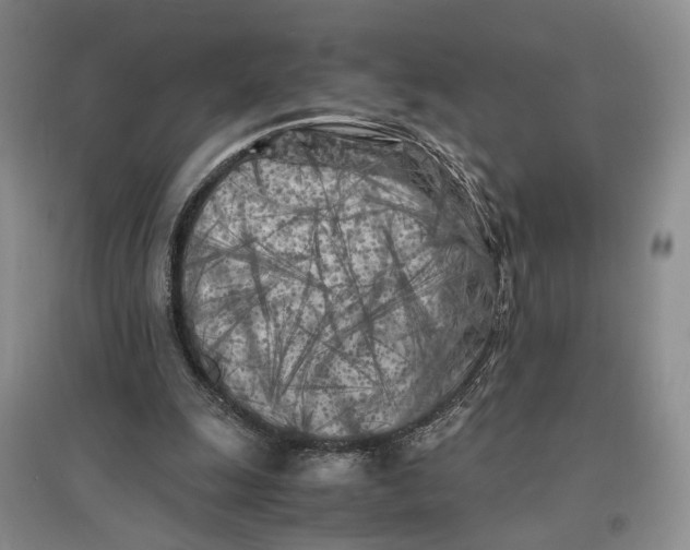 X0000096670247200802261459