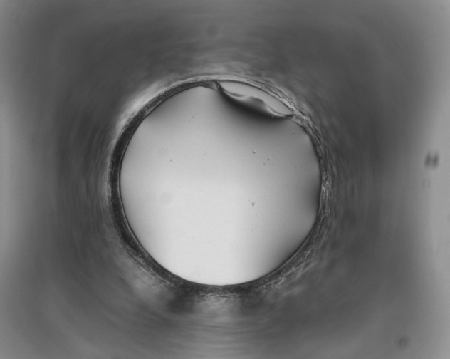 X0000096670248200802261459