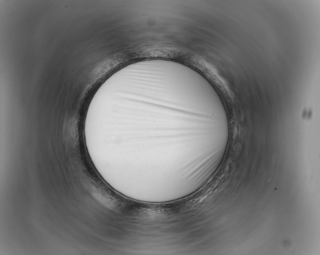 X0000096670250200802261459