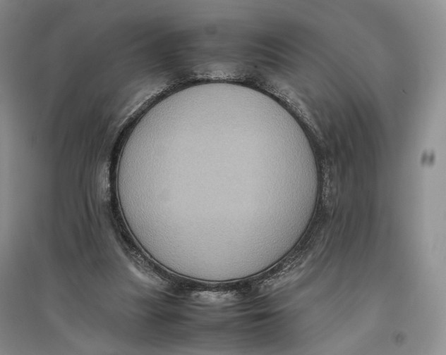 X0000096670251200802261459