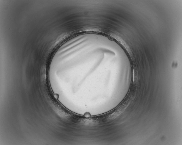 X0000096670253200802261459