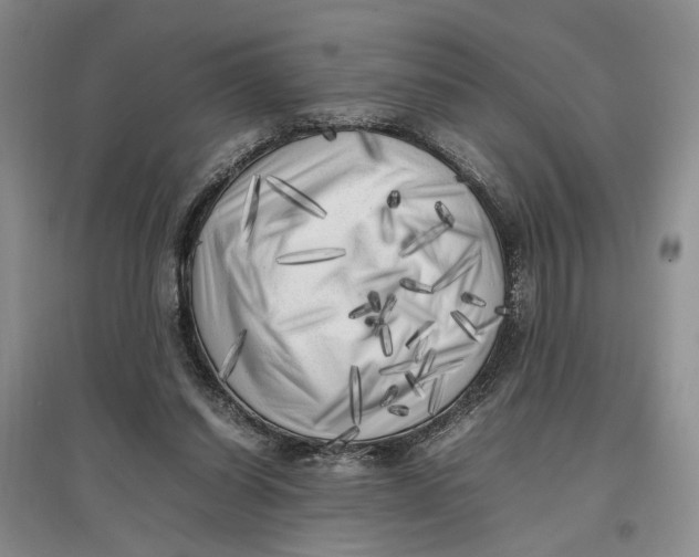 X0000096670254200802261459