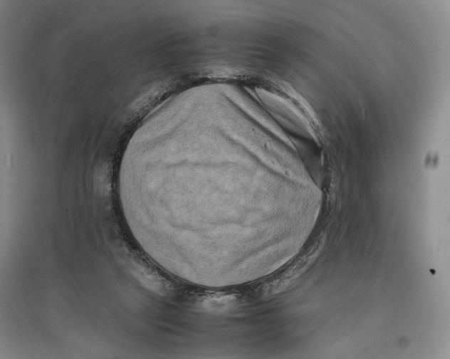 X0000096670257200802261459