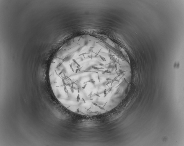 X0000096670259200802261459