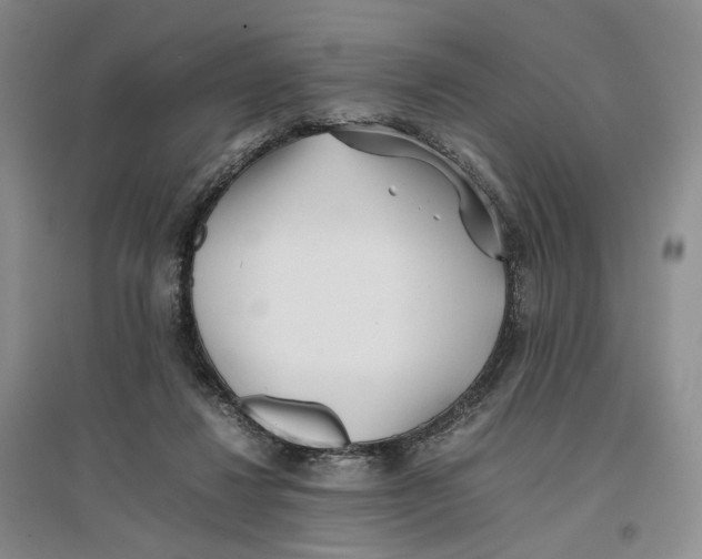 X0000096670260200802261459
