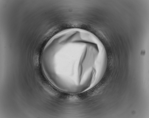 X0000096670262200802261459