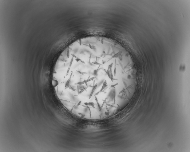 X0000096670263200802261459