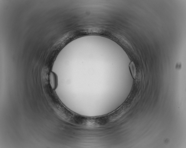X0000096670264200802261459