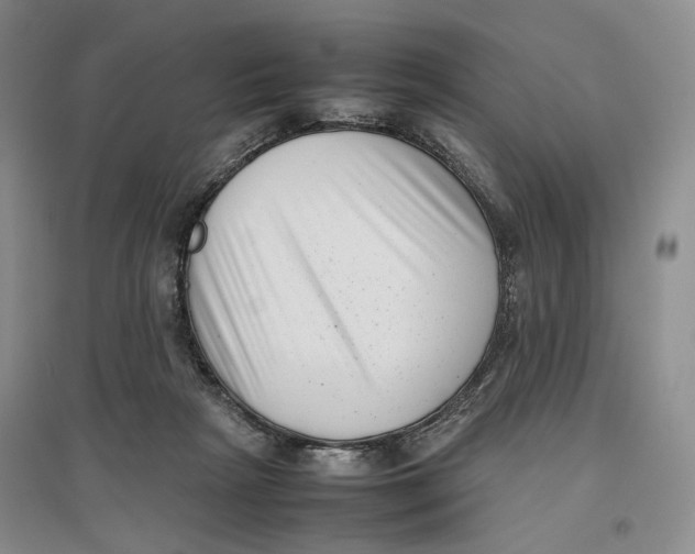 X0000096670265200802261459