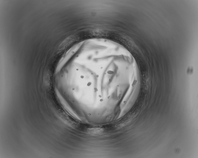 X0000096670266200802261459