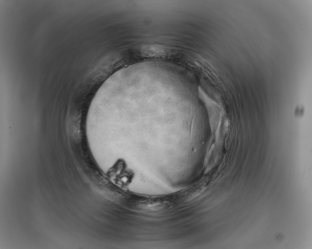 X0000096670267200802261459